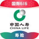 我的女老师作文五年级